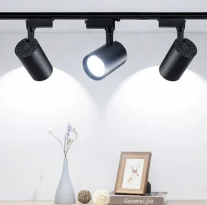 CATA CT-5334 Babil – 30W LED Ray Spot Armatür 6400K - Görsel 1